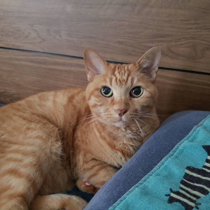 757be0ec 5bf2 4b5d b470 c08e52634d16 1719538032572