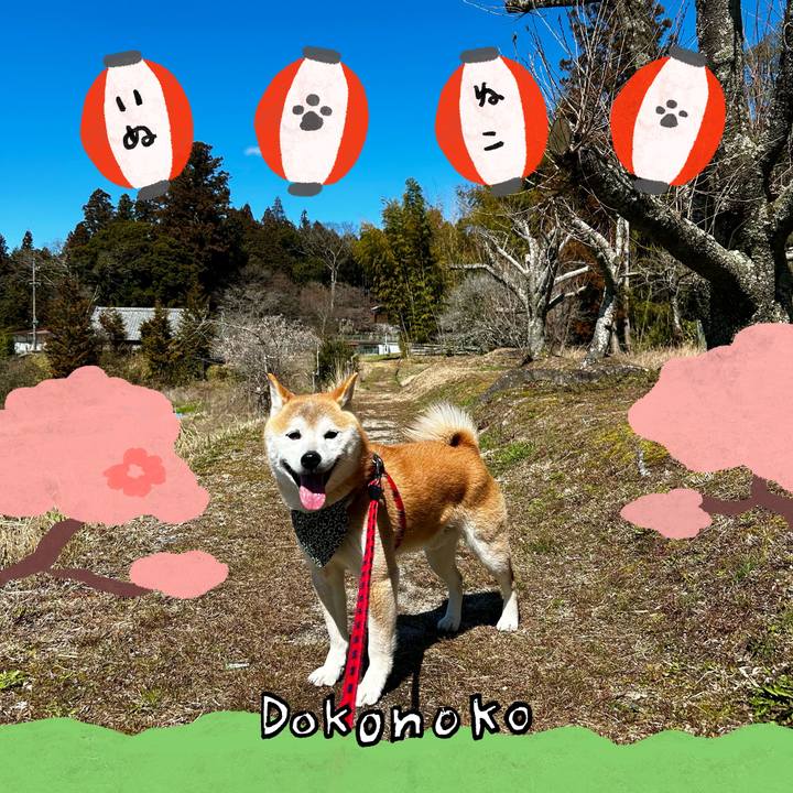 757bf661 12f9 47e9 b93a 12ab8c5f1a87 1712488248709