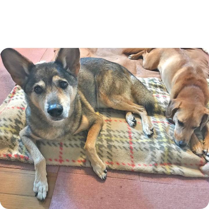 757bf6a7 63e0 44ff ba2c 2406d4451927 1536721440930