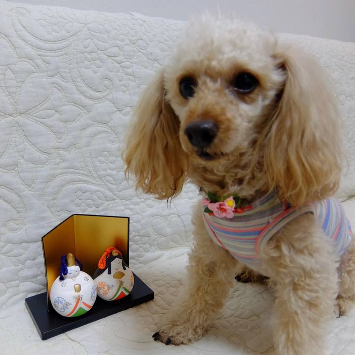 757bff71 f10e 4a8e a503 e871d8c22e00 1646304322800