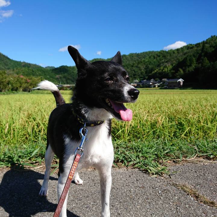 757c1259 af20 41f2 9452 211480484cb8 1534896192100