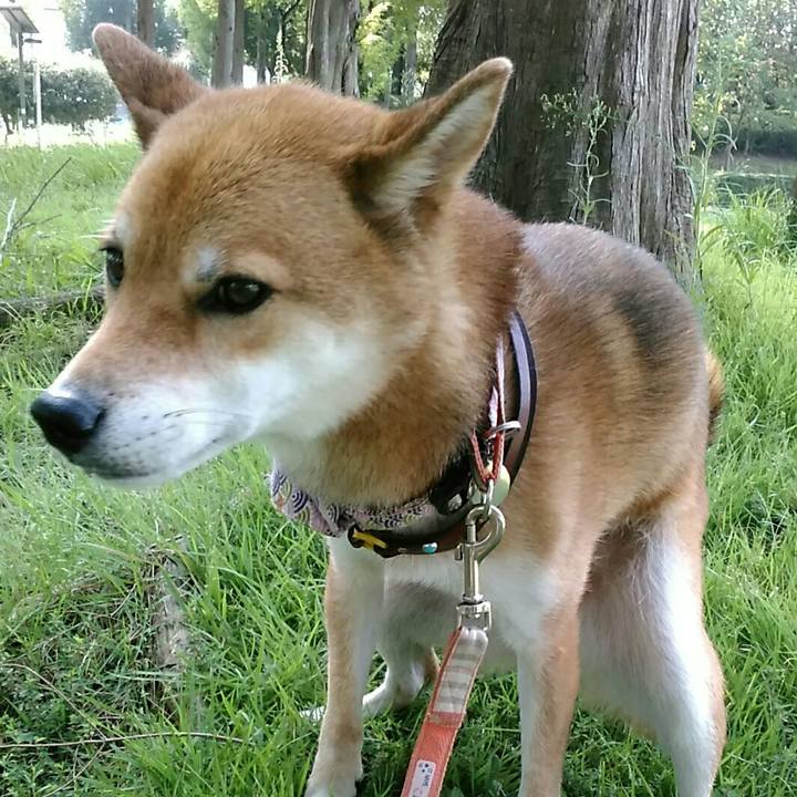 757c458b c3c7 45f3 8616 1ae7c46b0213 1536194947028