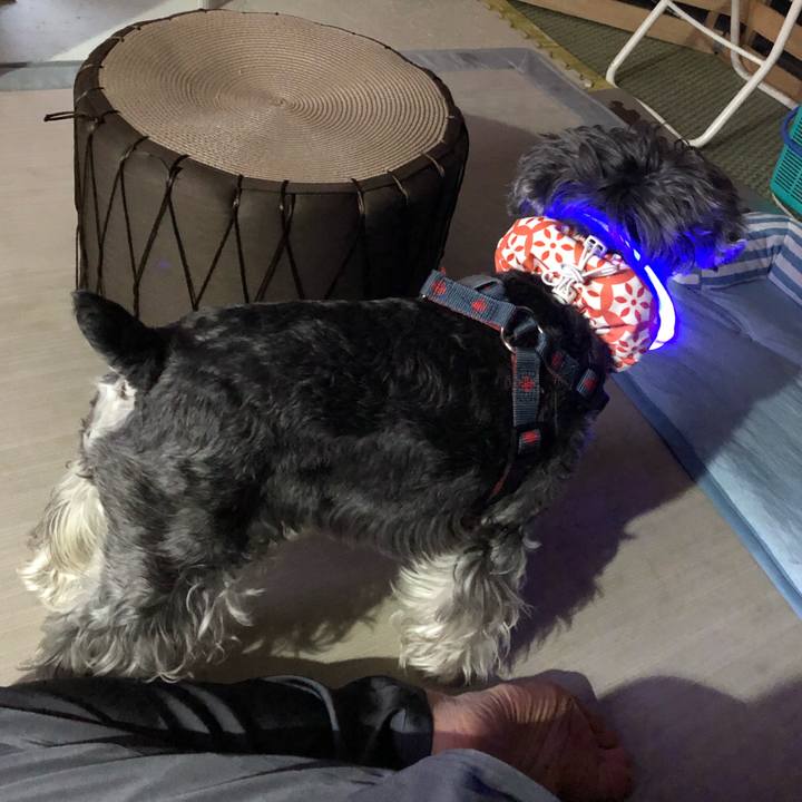 757c626d 31e6 4af7 b9db f383d074a789 1659708308591