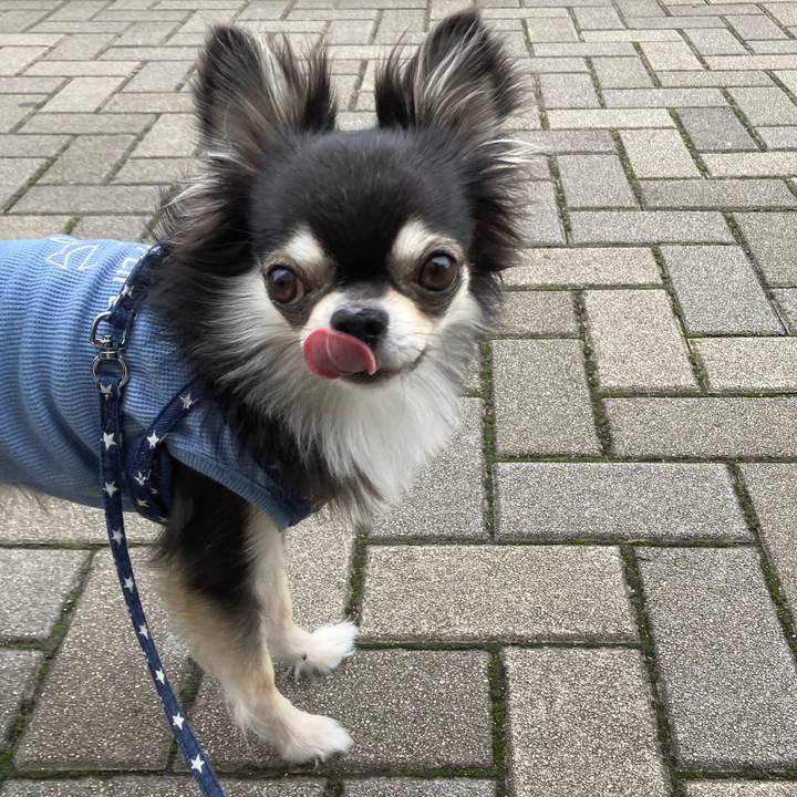 757c8514 ad5f 4e28 894a f8b4856d91d0 1652611198298