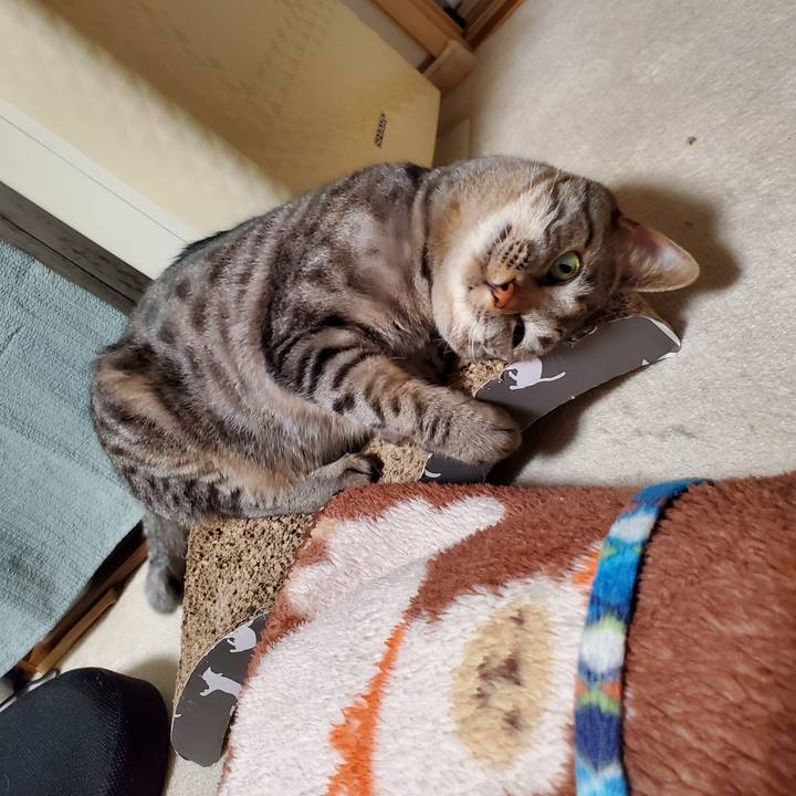 757c872b f937 4b51 9036 e8115000303f 1713235579524