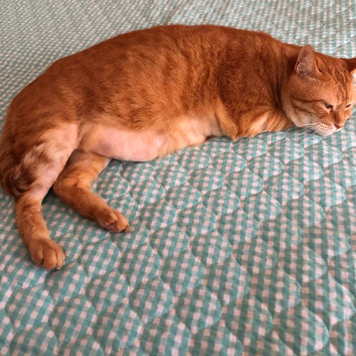 757cbe6c 9acd 482a ae37 bea46f75843f 1656722282181