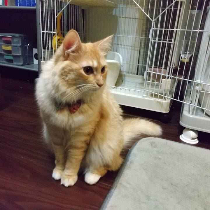 757cc99a d71e 4847 b1ad ca4be234c806 1634558734124