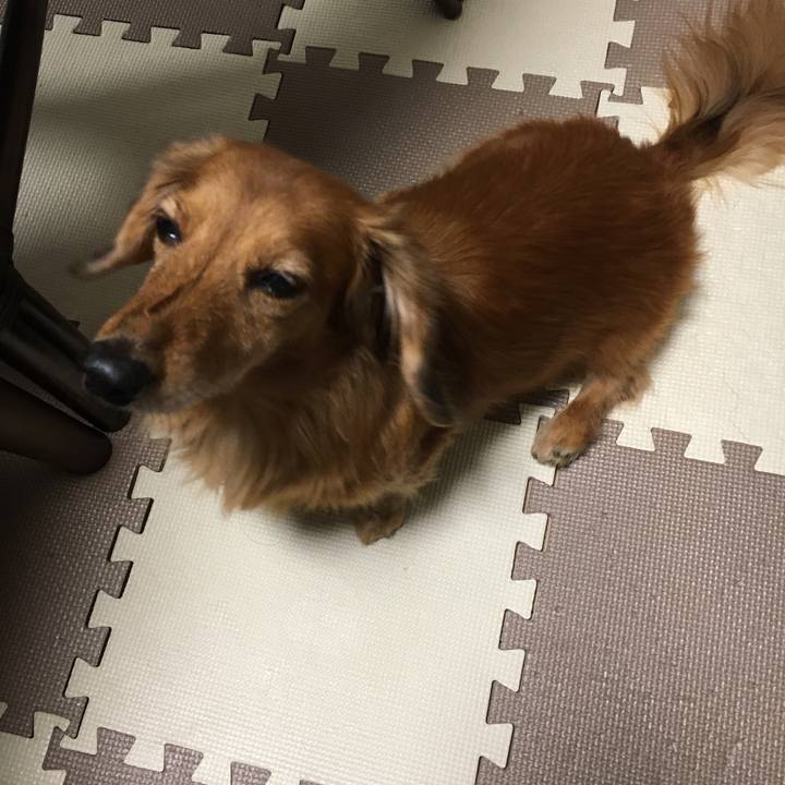 757cf797 15a9 43fe b84a ca2ed2196e62 1575380841109