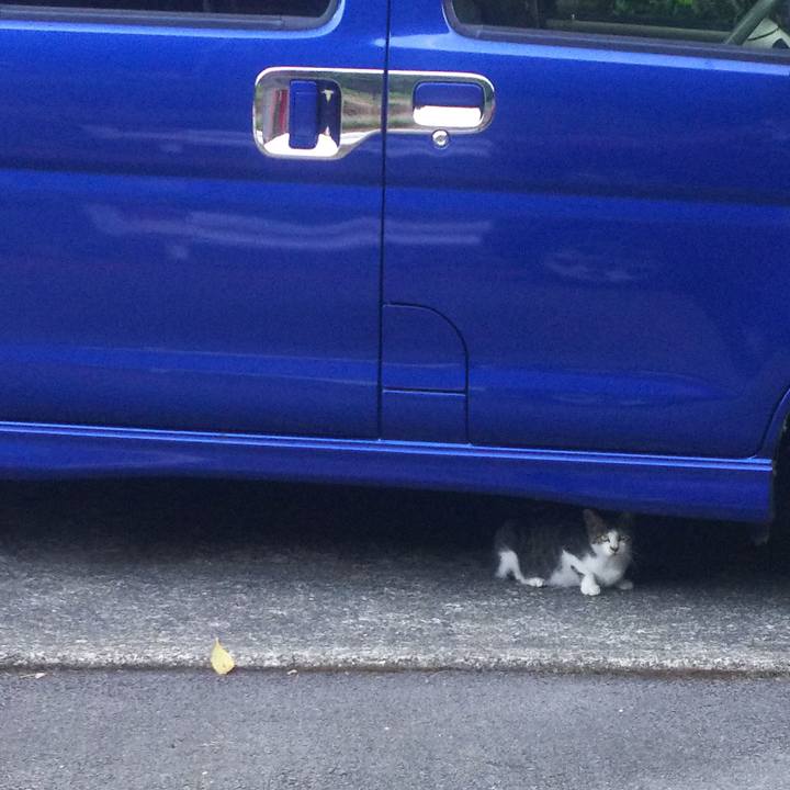 757d0014 95ac 46ea 8090 65264ec5b6a1 1566632578174