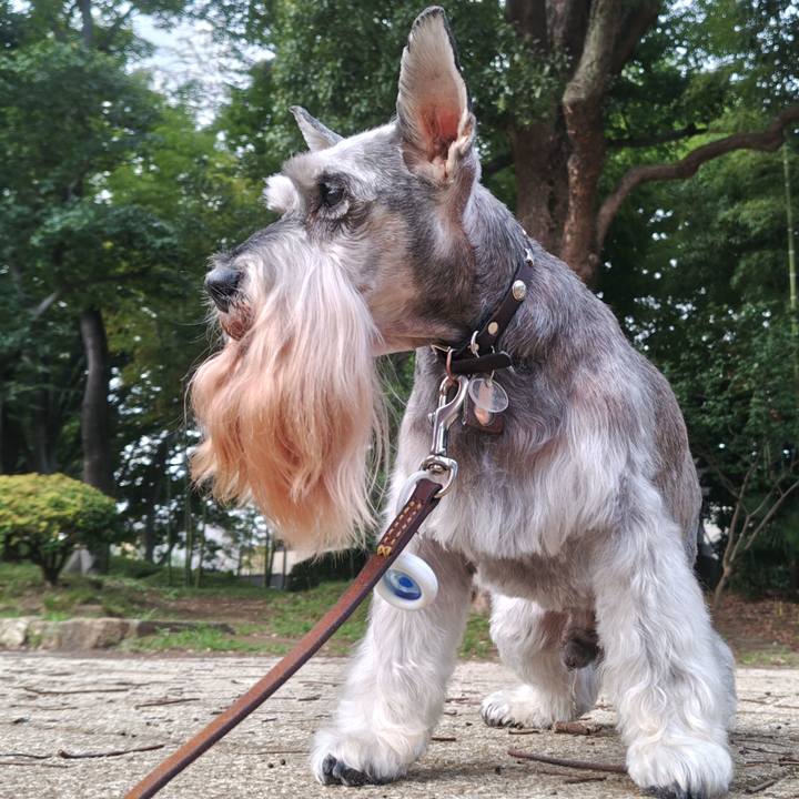 757d0cf3 afc8 4d22 90b4 35770d46dee2 1758809273305