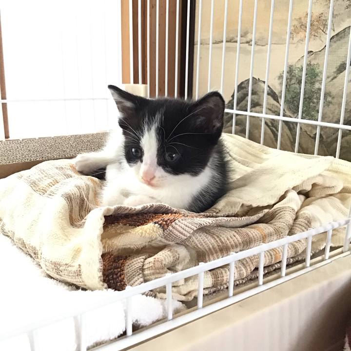 757d0f8a f337 4751 9e90 ff053ddb8145 1622438399606