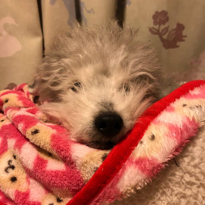 757d349d ddcb 4680 8307 b0a923a8bfcd 1615553569020