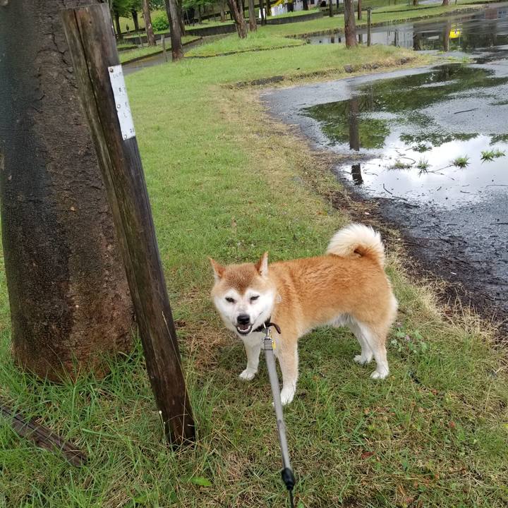 757d38c2 9918 4ac8 b7d1 2060363bf500 1628754634448