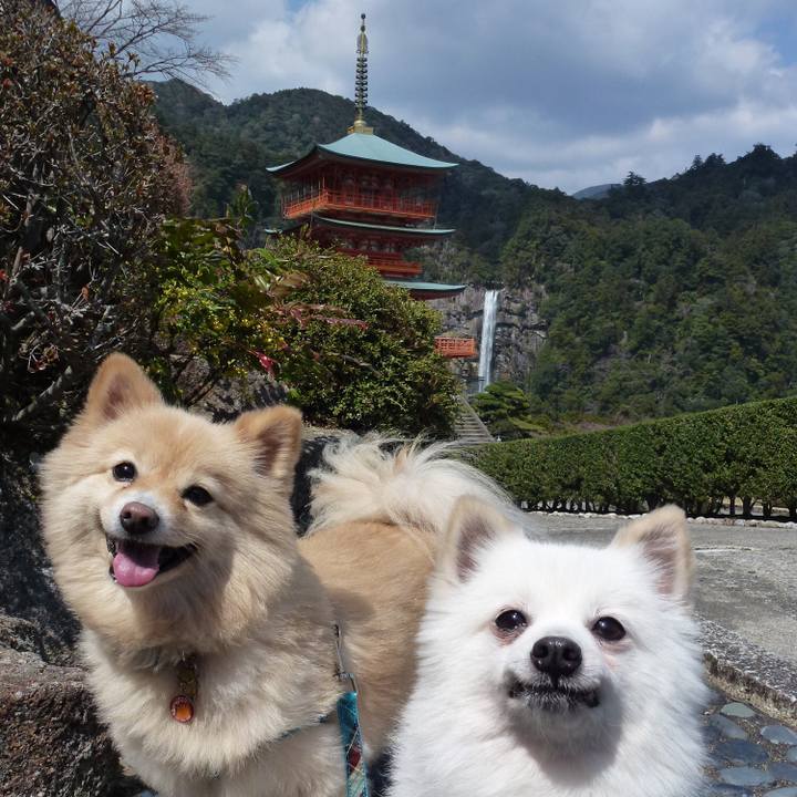 757d4d62 c67b 4b15 80c7 06c92657f9dd 1532108771006