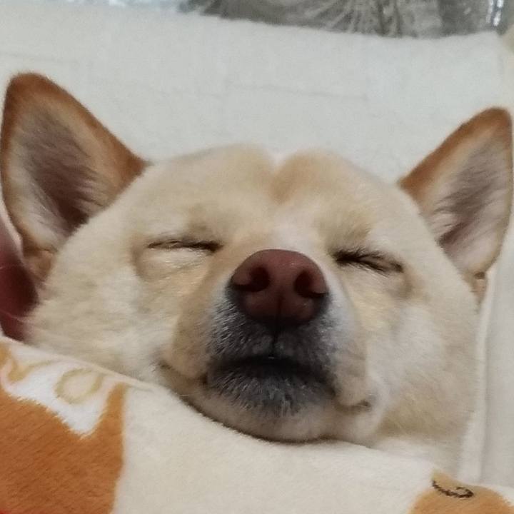 757d5634 b606 4581 a2ac fd1f03ac8199 1526710524735