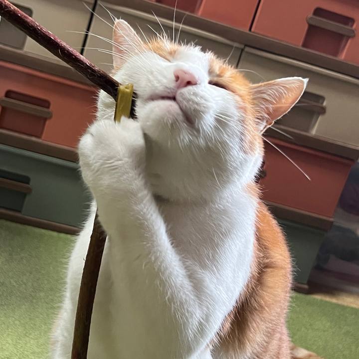 757d6fe3 078c 491f af33 09488e113189 1658017124043