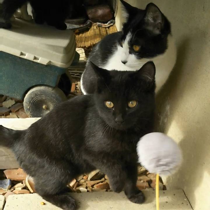 757dbe29 d181 455c bab1 41b983a7207a 1543379302447