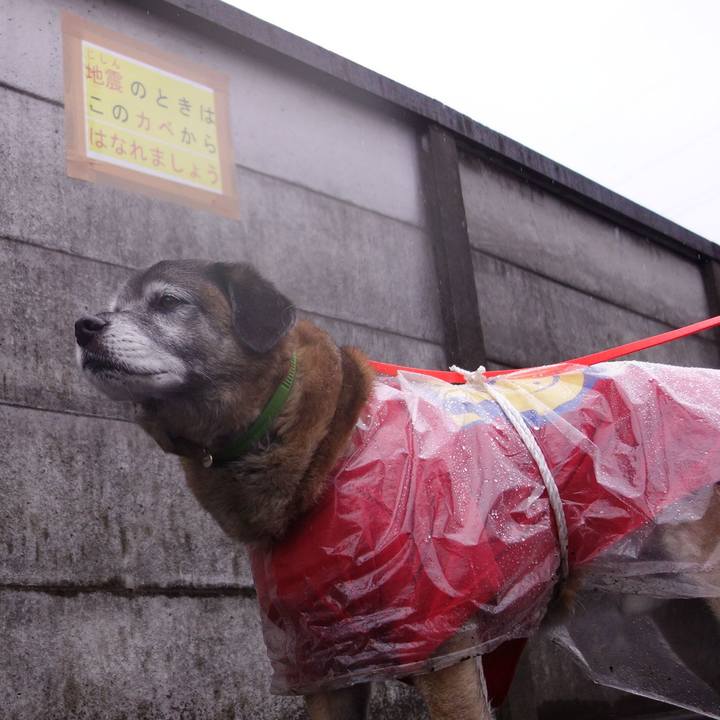 757dd296 b776 4d28 b890 a4b40fc0210e 1551575765483