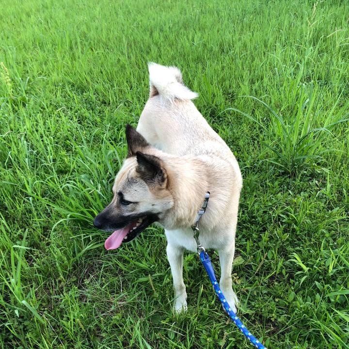 757e1794 63d1 420e b259 a8137d36134b 1531479867251