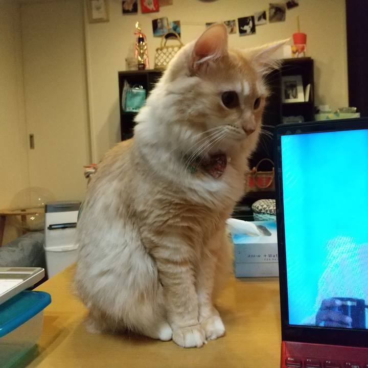 757e1bd9 ee7d 4d98 bee6 d51904d77cdb 1634906348999