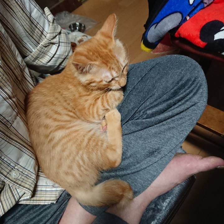 757e4a62 5ffa 4546 8eef 3495b48cef1a 1632480399608