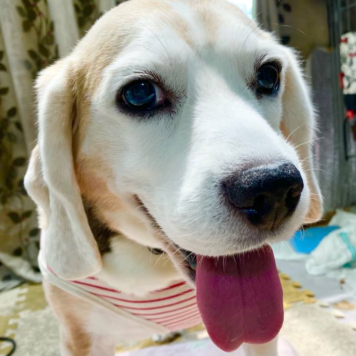 757e5918 f078 4ac8 85ba cf509453ee68 1657512895287