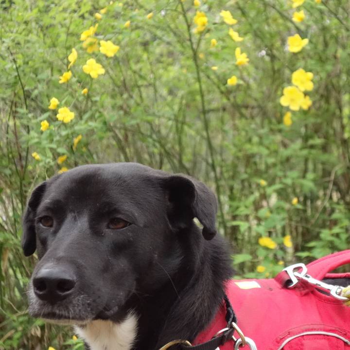 757e5ae0 ce4a 4211 b02d e4a6b9f12c0b 1585615380480