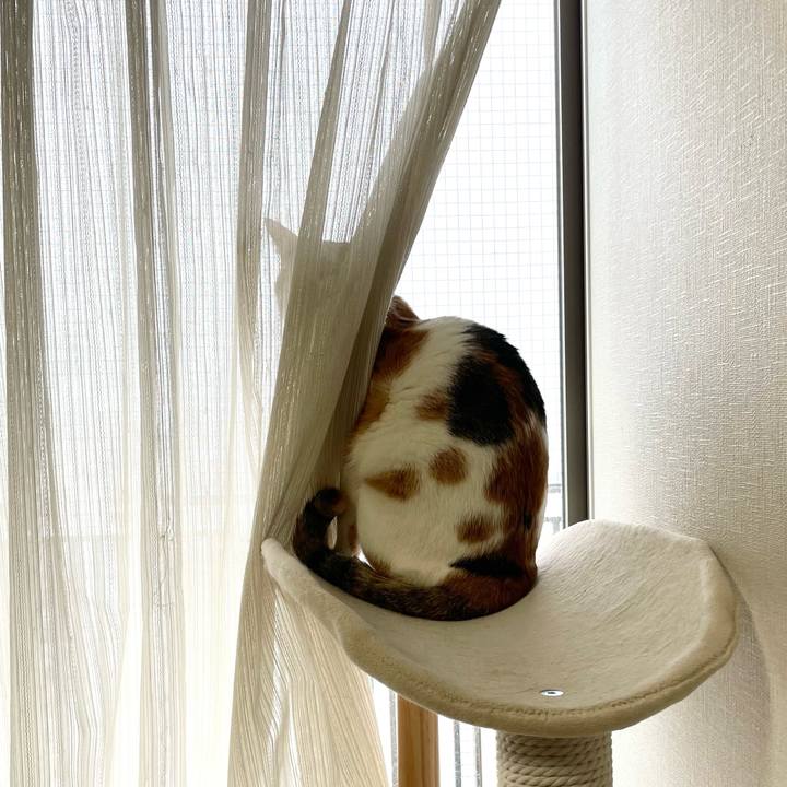 757e722b 428d 4b88 8e17 6e18bc7ce89f 1637537485363