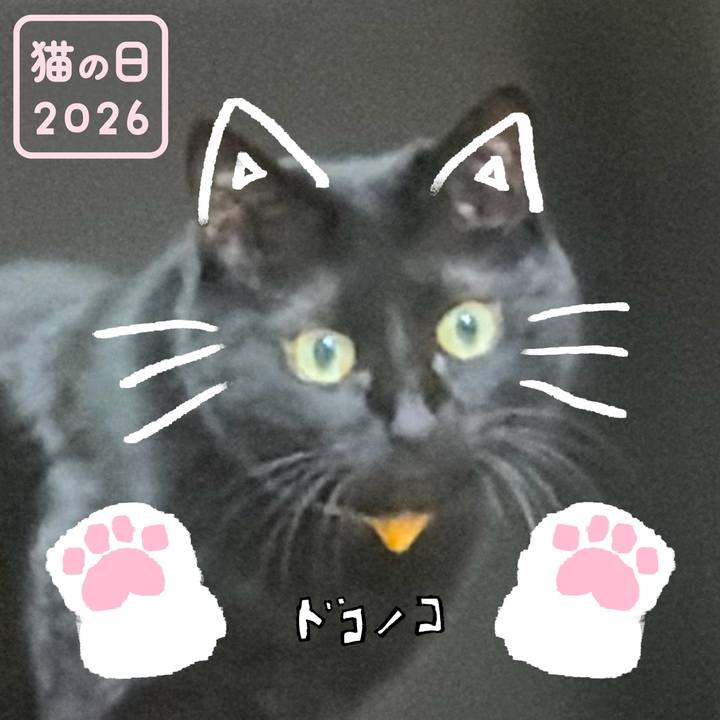 757e7478 d7b0 4071 b0dc 095e34db1115 1771787648896