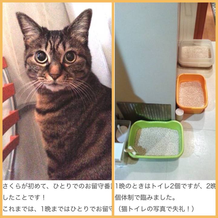 757e75b3 9f0b 4c99 b2c3 440e684d0d81 1776216784463