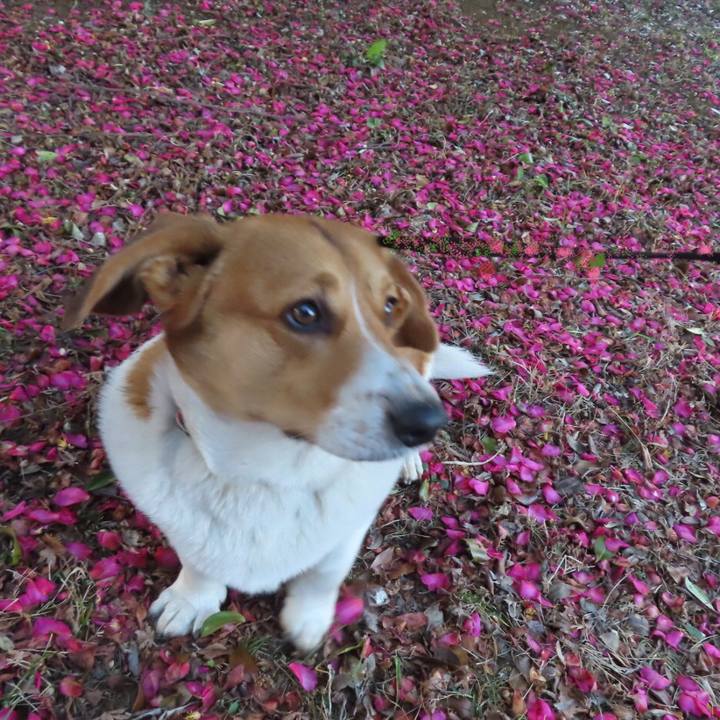 757e79c8 22ec 4048 9f99 07e6983bc282 1674698794937