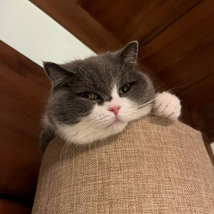 757e86f8 a662 4480 a20b 6fbee55aacd8 1675426755748