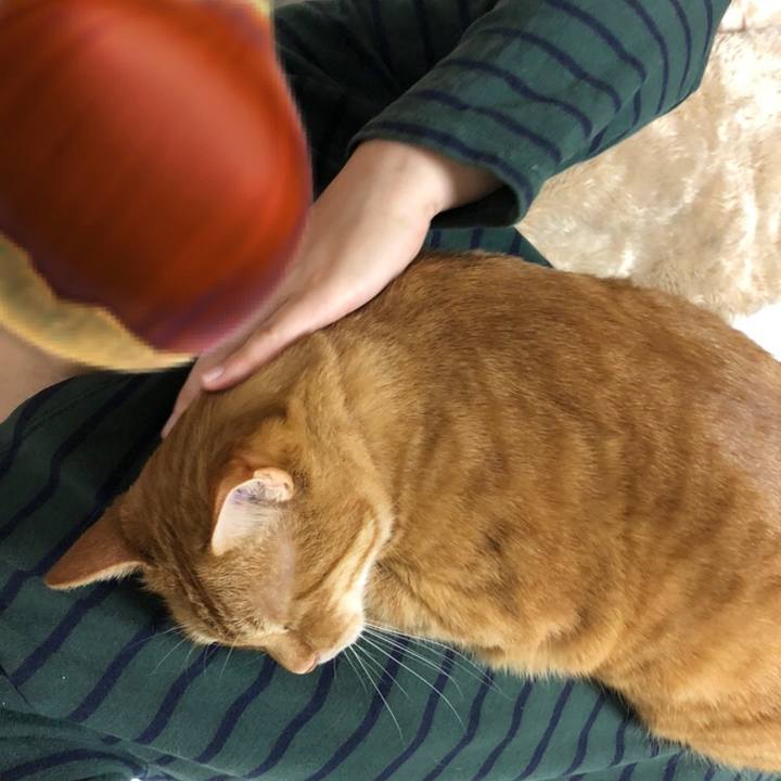 757e95cd ed24 4429 b459 cee01de7b182 1587042191805