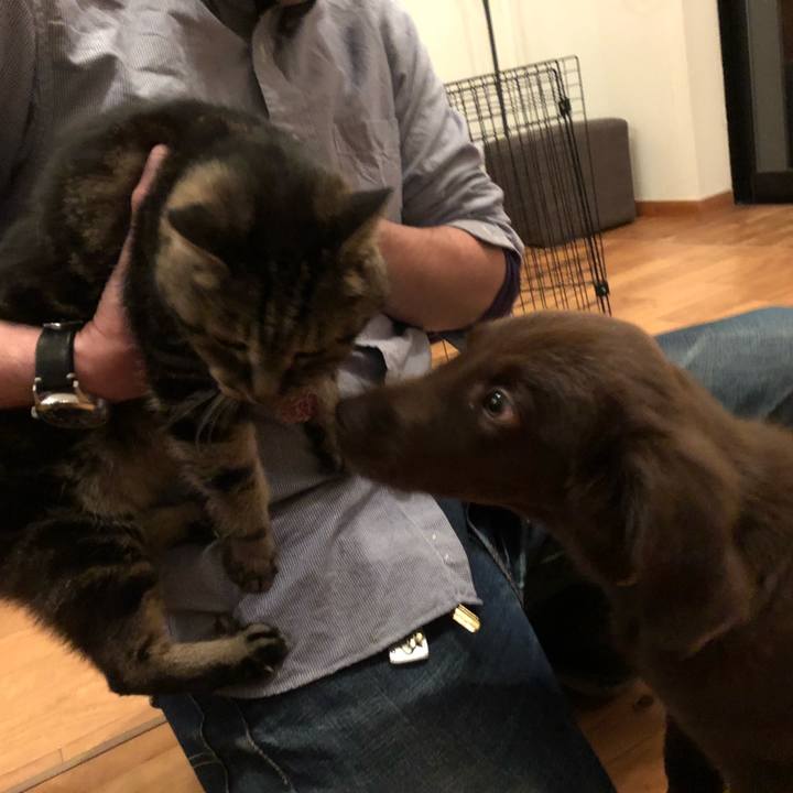 757efd40 a444 440c 97a9 44209a2846f4 1553464276778