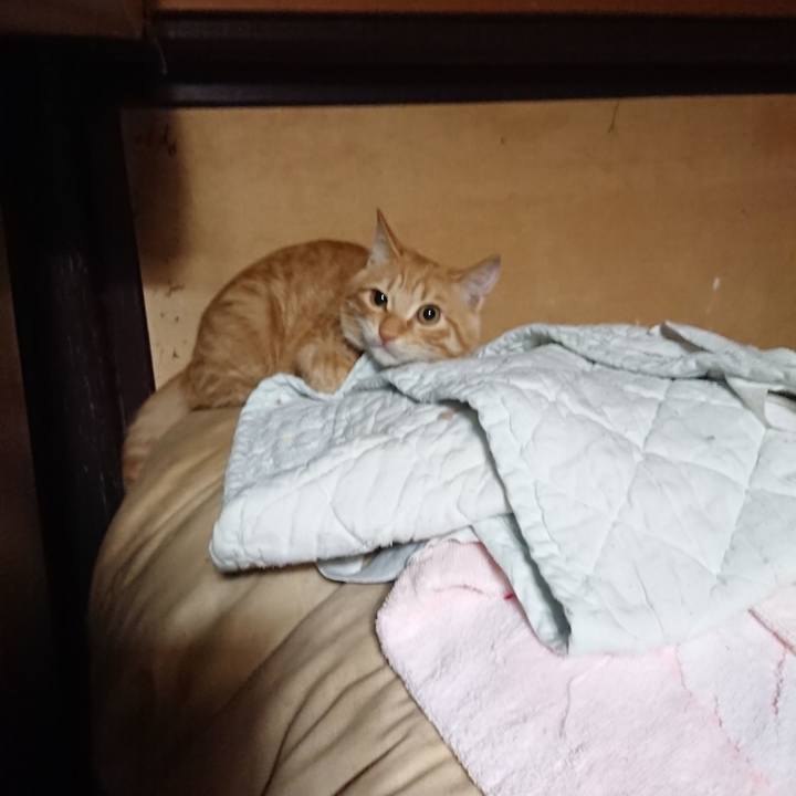 757f073f 7fa9 443f b1cf d99a7f6447e7 1636112260633