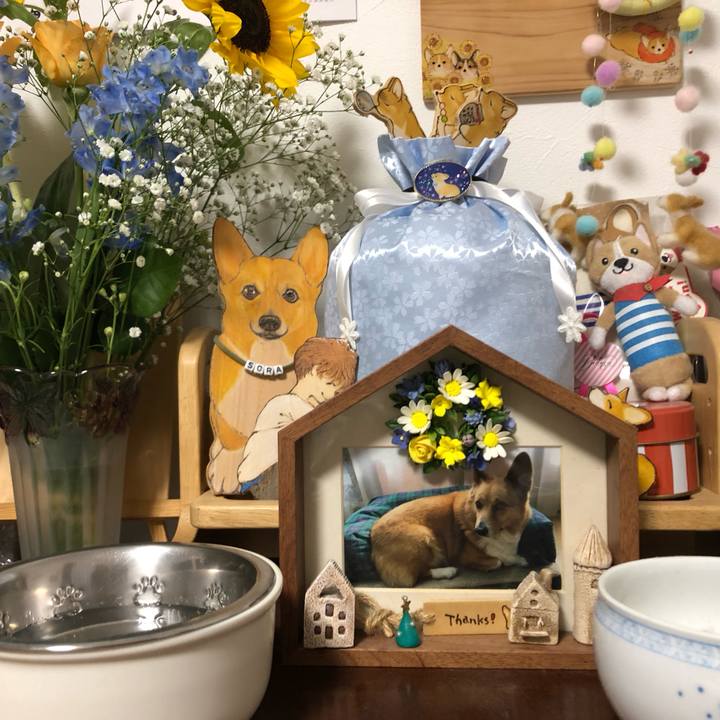 757f6436 e456 4927 950f 3cf3a58c3f0e 1719928657326