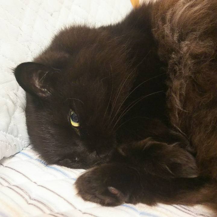 757f899c dbb8 4e7c a2eb ed3c44af7431 1529074280610