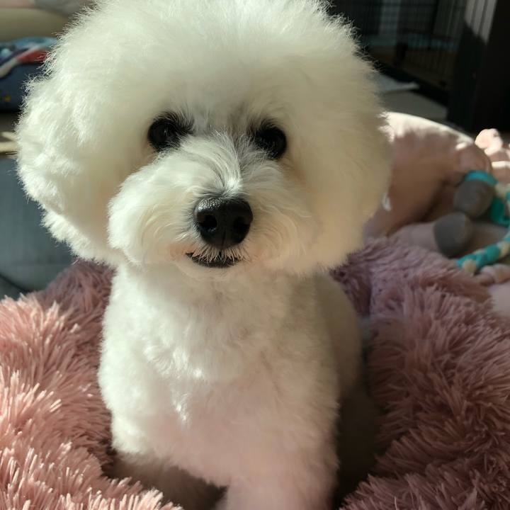 757f930e cc6f 464c aed1 a690c39ad918 1636793894190