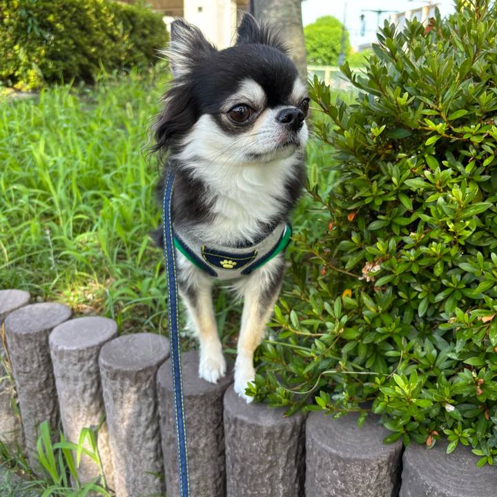 757f9b1b 5fb0 4964 9e91 8be161bebca1 1752880640059