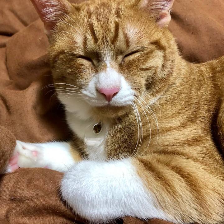 757fdb43 7973 4a82 8d72 384bb2d684e0 1554816768436