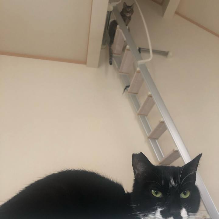 757fe26f 2483 48a5 b627 c5ddf9195aa3 1588572872879