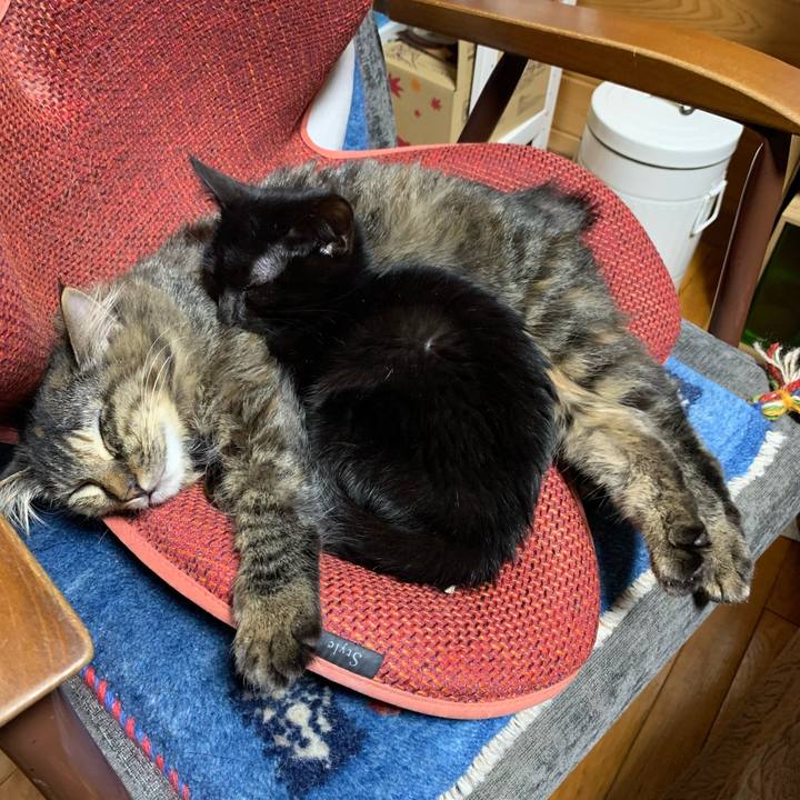 757fedaf a18c 4ee0 bebf 44aaf04d5d69 1642583325399