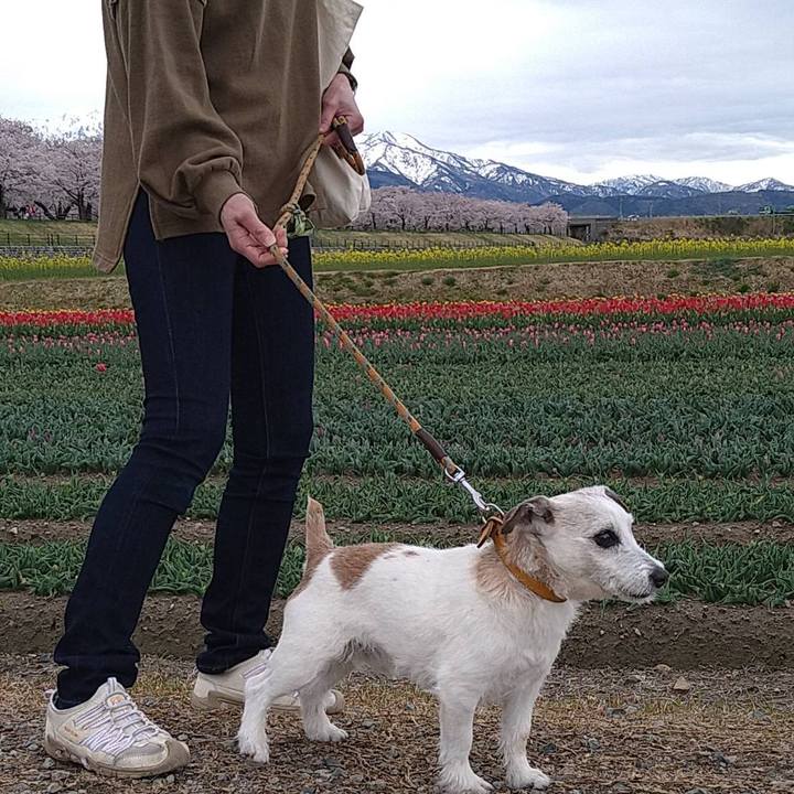 75804c7a de8d 4759 9b62 6813838c0dfa 1680787946733