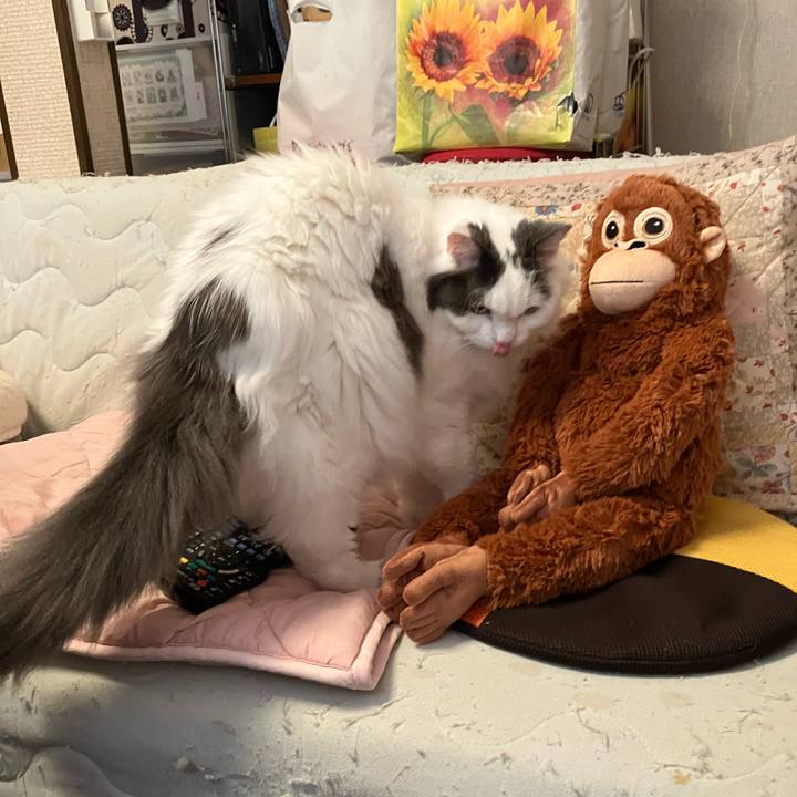 75805e42 3283 4834 ac9c 178cf8228c2c 1774925624049