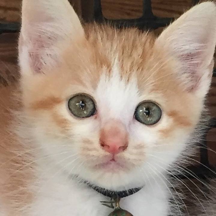 75807809 cc4a 48af a2f6 daadf992c293 1572913025683