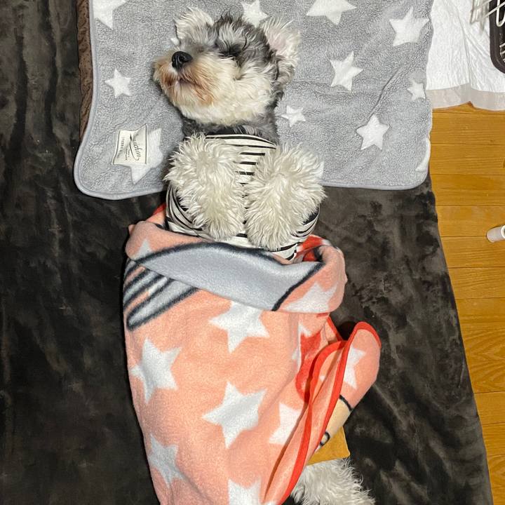 75808092 40b9 4091 960c 3c8bae60f71f 1579969071297