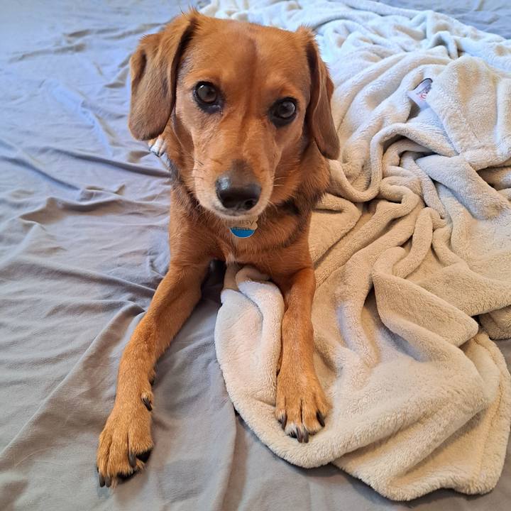 7580a977 148c 49a4 b552 5d2d5ce44257 1760654739100