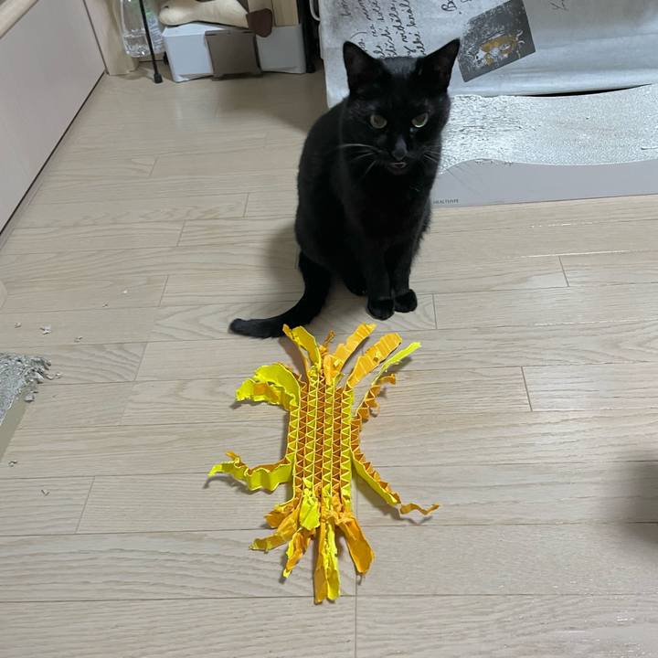 7580ca10 b743 47df 938a 933a0f1bc03b 1702038845802