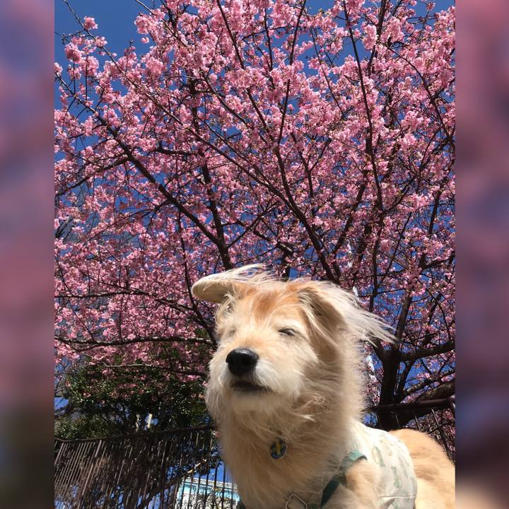 7580f242 fbd6 4c05 b5fa 9948725b19a0 1613454467971