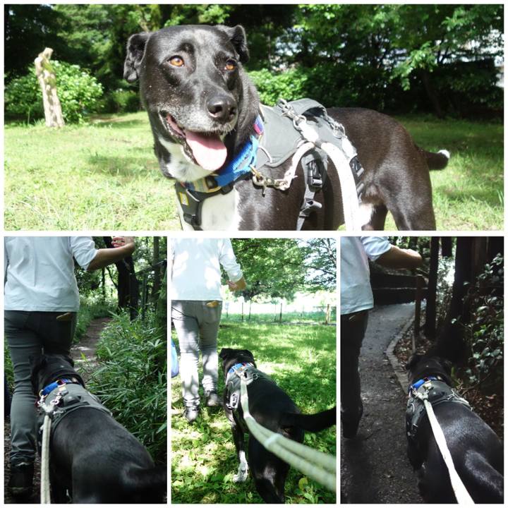 758129ad 6e05 47c9 8cbf 261856481312 1654563489872